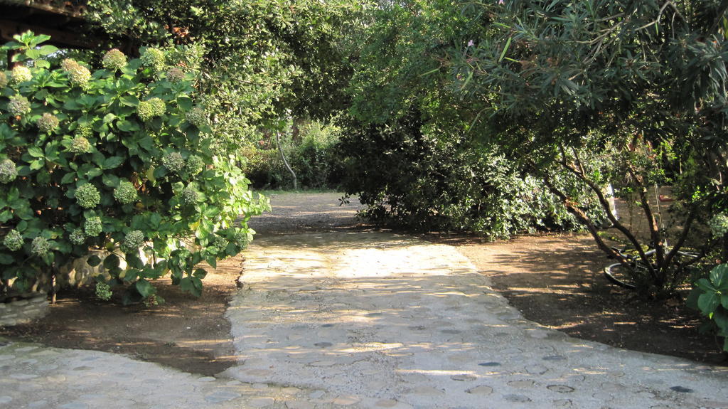 Akamatis Giorgos Hotel Therma  Exterior photo