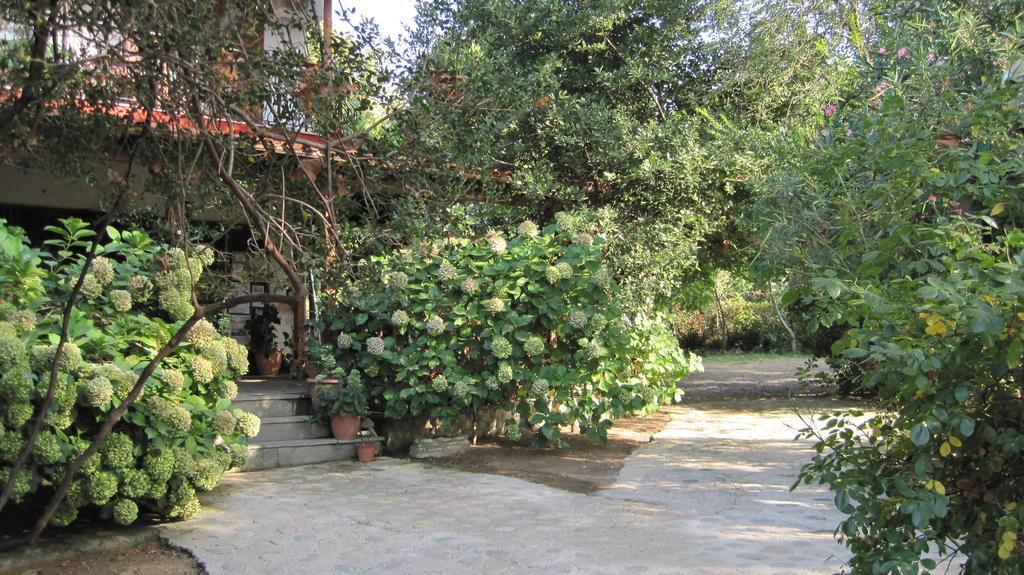 Akamatis Giorgos Hotel Therma  Exterior photo