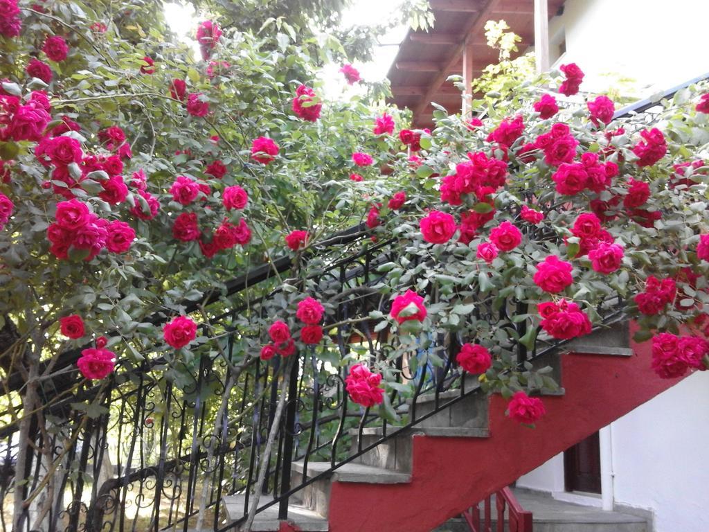 Akamatis Giorgos Hotel Therma  Exterior photo